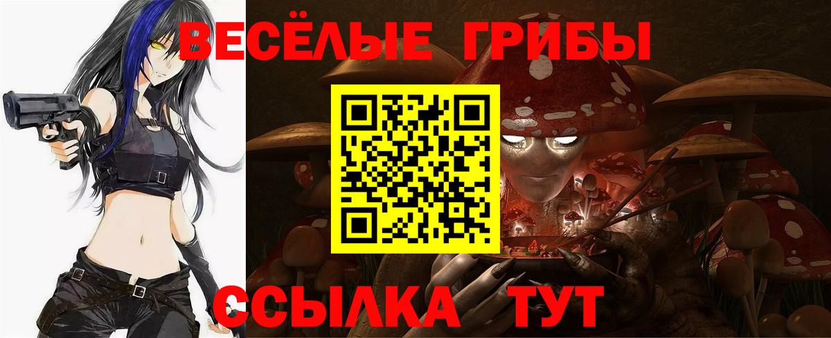 Галлюциногенные грибы мухоморы  купить наркоту  Владивосток  Вход с VPN 